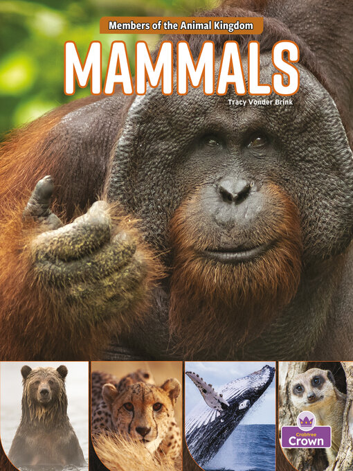 Title details for Mammals by Tracy Vonder Brink - Available